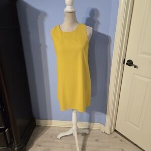 Naked Zebra medium Womens Dress